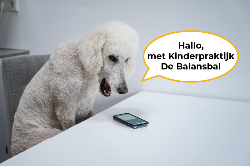 Kinderpraktijk De Balansbal – Contact