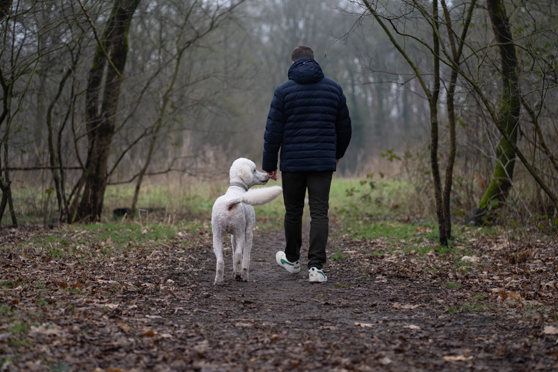Kinderpraktijk De Balansbal – Psychosociale Begeleiding